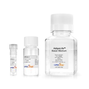 AdipoLife DfKt-1 Adipogenesis Differentiation Medium for Adipose and Pre-Adipocytes