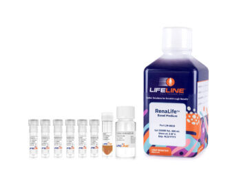 RenaLife ™ Epithelial Medium Complete Kit