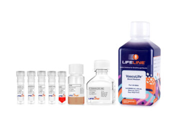 VascuLife® EnGS-Mv Microvascular Endothelial Kit