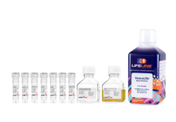 VascuLife® VEGF-Mv Endothelial Complete Kit