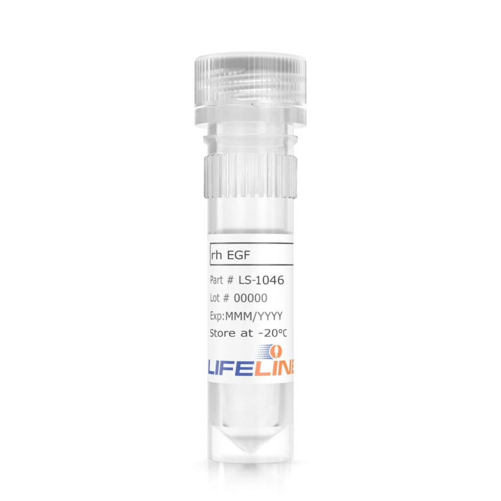 rh-egf-epidermal-growth-factor-in-cell-culture